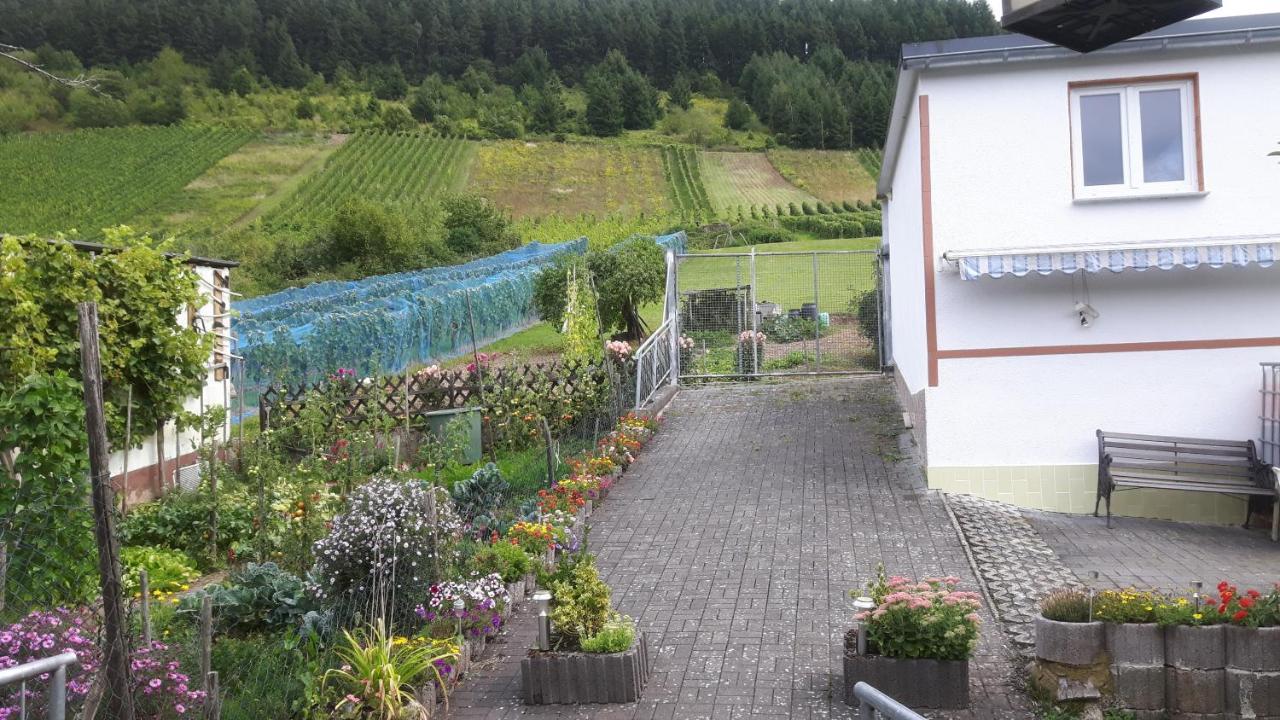 Zwei Ferienwohnungen "Im Weingarten " Burg  エクステリア 写真