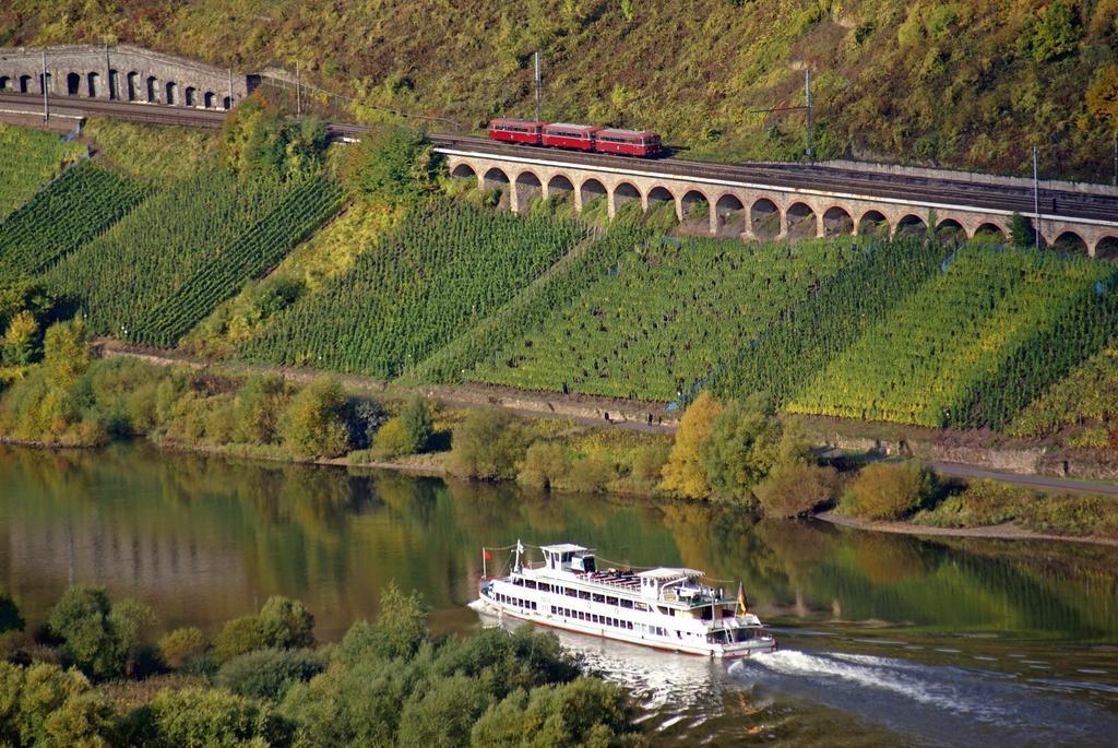 Zwei Ferienwohnungen "Im Weingarten " Burg  部屋 写真